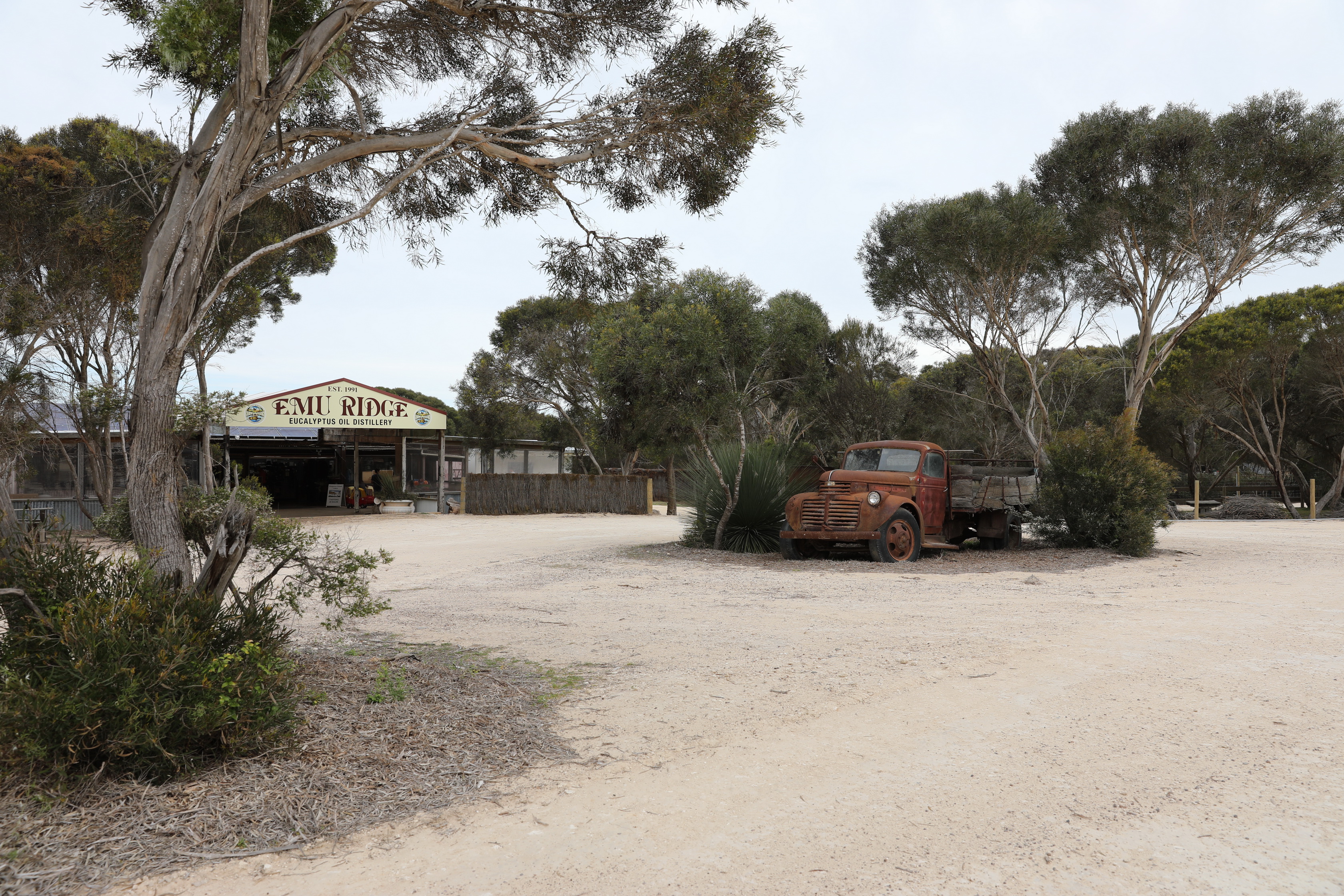 2019 10 04 15 43 05 Canon EOS 5D Mark IV 0028